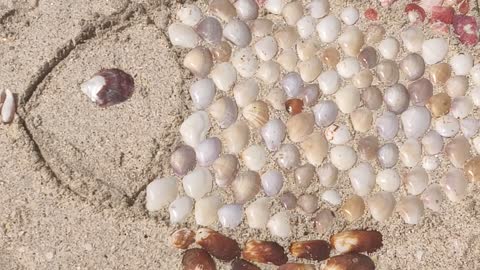 Sally Sells Seashells by the Seashore