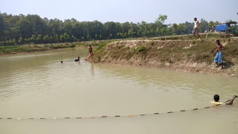 Nets are being drawn for fishing in the pond