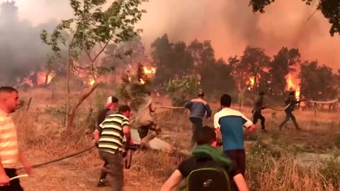 Algerian villagers desperately fight wildfires