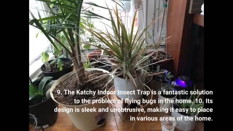 Katchy Indoor Insect Trap - Catcher & Killer for Mosquitos, Gnats, Moths, Fruit Flies - Non-Zapper