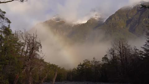 Amazing New Zealand Landscapes _ Fiordland