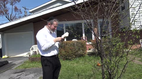 Sweet & Good Torah - Blessing on the Fruit Trees during Month of Nissan