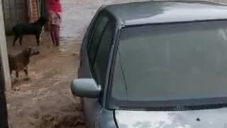 Knee high floods hit Paarl