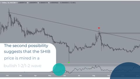 Shiba Inu (SHIB) Price Breaks out After Shibarium Upgrade – Will It Reach New Highs?