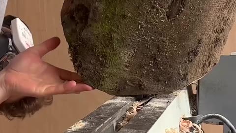 Wood turning Into bowl | wood turning video #2
