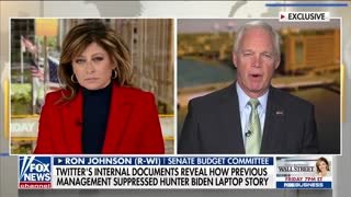 Every American 'should be concerned about this': Sen. Johnson