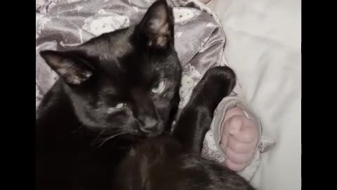 Kitten gets caught on baby cam sneaking into her sister's crib for a snuggle ❤️