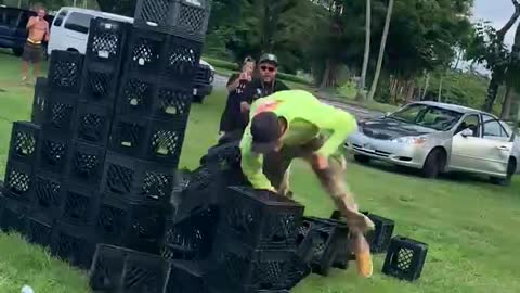 Milk Crate Challenge Ends in Faceplant