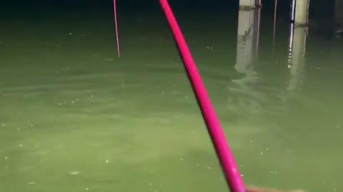 Best Carp Fishing Videos 🐟 Amazing Fishing Techniques 🐟