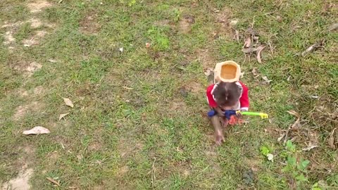 Funny baby monkey going fishing is funny and lovely