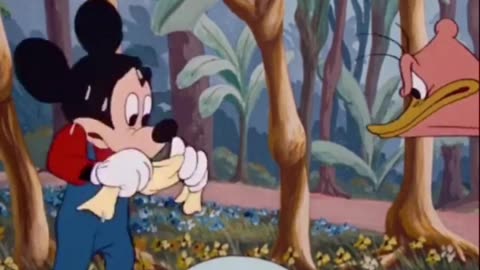 Tom and Jerry funny video