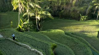 Bali Indoneisa Travel Nature water watch from the sky