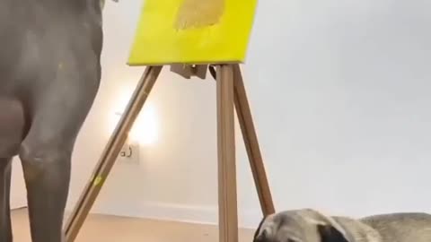 Dog with drawing skills