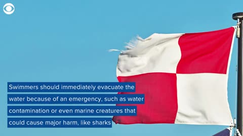 What does each beach flag color mean_ Here's what to know before you go CBS News