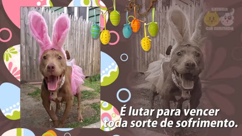 MENSAGEM DE PÁSCOA - HAPPY EASTER