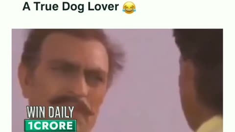 Dog lover