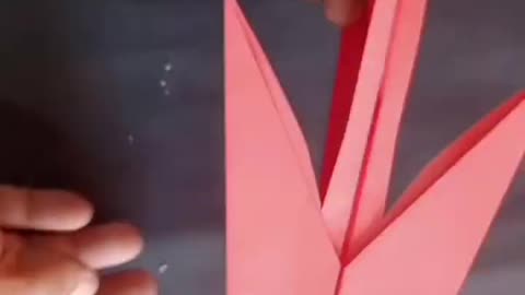 How to Make A That Best Paper Airplane and Really Fly Far
