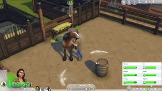 Horse Ranch Lp Ep4: Mini Series Finally