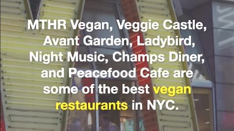 The Best Vegan Destinations in the World