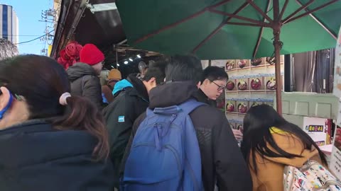 World Largest Seafood Market in Tokyo