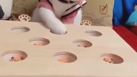 Play whack-a-mole with kitty