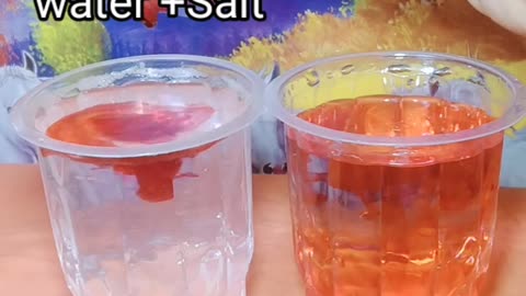Simple science experiment please don't try to this experiment at home