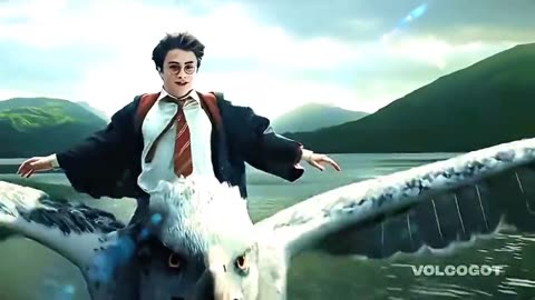Harry Potter 4K Video
