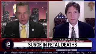 Tragedy: Fetal DEATHS SURGE Canadian Data Shows HUGE Fetal Death Increase In Vaxxed Mothers