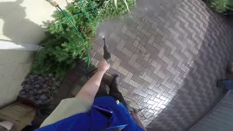 Karcher K2 Pressure Washer - 3 Cleaning Pavers Time-lapse Satisfying