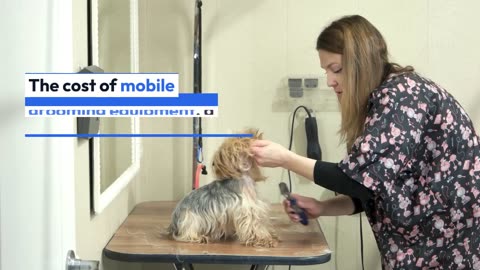 How to start a mobile pet grooming business