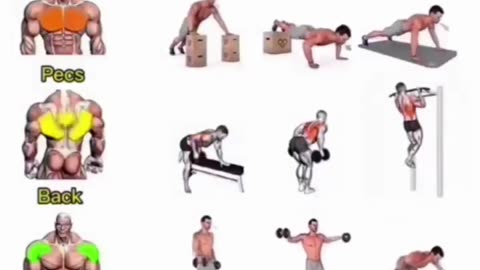 Full Body Workout Exercises For Muscle Gain - Health & Fitness Tips