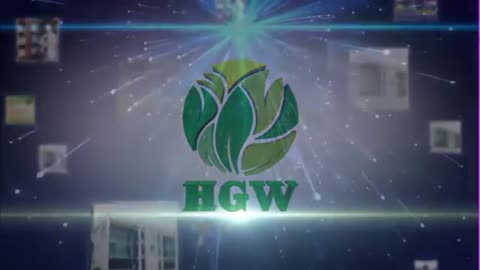 HGW Visión Expansión Global