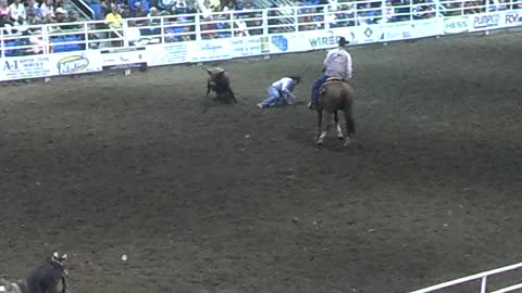 Rodeo Steer Wrestling ND