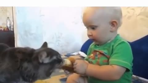 Adorable Neonate Embraces Independence and Friendship! 🍼🐱 #SelfFeedingGoals #BondingWithPets