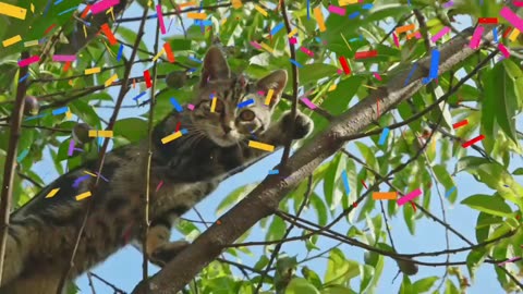 "Feline Rescue: Saving a Cat Trapped in a Tree" | #cat