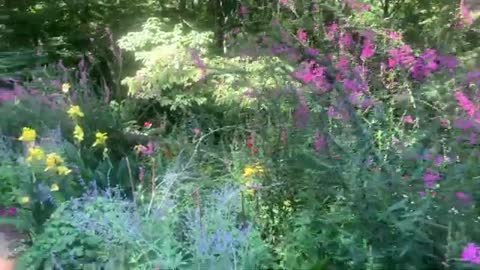 Beautiful Gardens- Escape here to Lift Your Mood and Feel Better