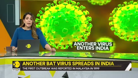 Nipah: Bat virus deadlier than Covid kills two in Indian state of Kerala | Gravitas