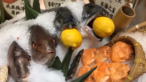 A variety of seafood platters