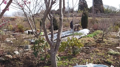 Our flower garden and scenery in Nasu, Japan.