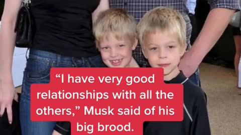 Elon Musk broke his silence on his estrangement from daughter Vivian.