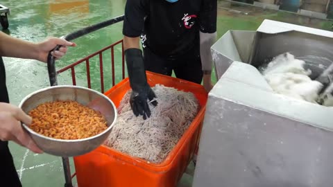 Radish Cake (Turnip cake) mass production,