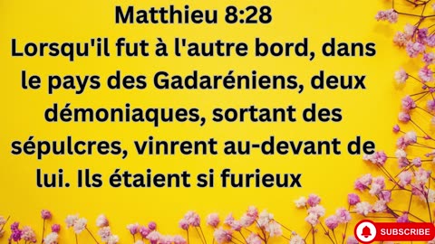 "Les miracles de Jésus : guérisons et puissance sur les éléments" Matthieu 8:1-34 .#shorts #youtube