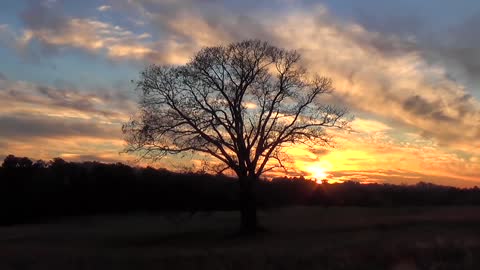 The sunset behind a Tree in an open Field. / Time Lapse