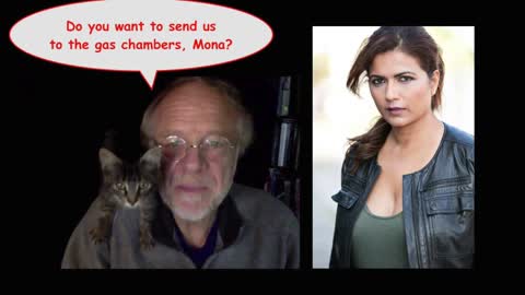Do You Want to Send Us to the Gas Chambers, Mona?