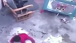 Cat saves baby