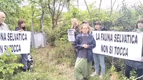 Preoccupazione a San Marco: Proteste contro la Gabbia per Cinghiali