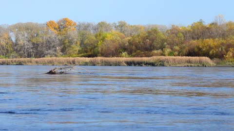 SOUNDS OF NATURE. MUSIC FOR PRODUCTIVE WORK.WATER NOISE Videos for relaxation, sleep