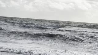 Little Hickory Island As TS Nicole Leaves Bonita Springs, FL 11/10/2022 PT 2 #4K #HDR￼