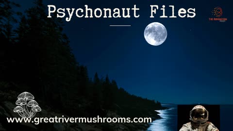 Psychonaut Files: Mushrooms & Meditation presented by The Rumination Project🍄🧠🌌