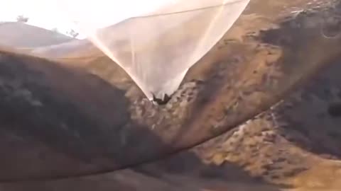 Skydiver jumps 25,000ft into net with no parachute